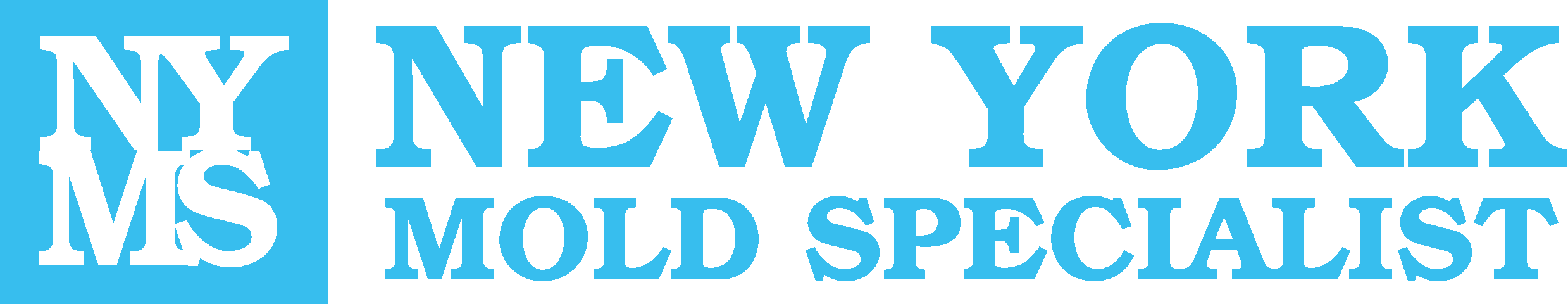 nymsfull logo (1)